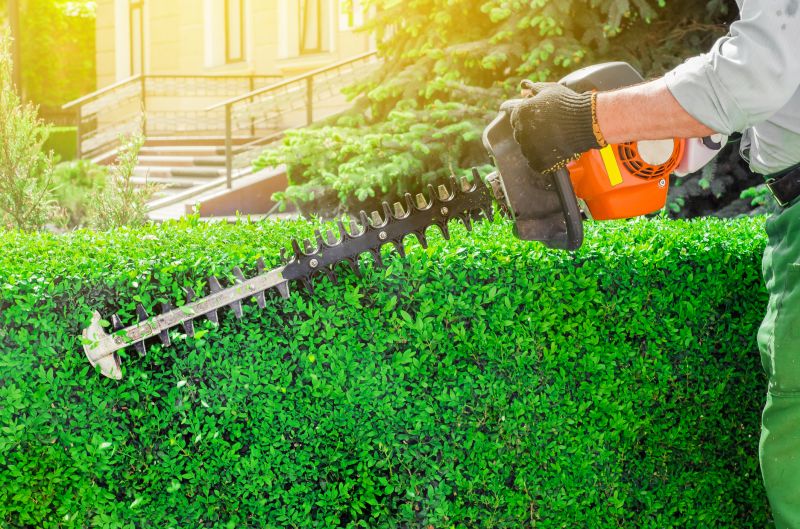 Hedge Trimming