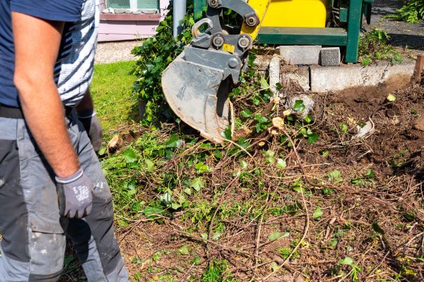 Hedge Removal Service in Camarillo