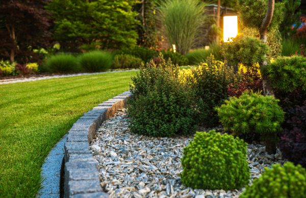 Cost of Bush Relocation in Camarillo