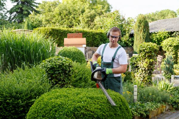 Shrubs Trimming in Camarillo